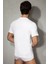 Only Cotton Erkek T-Shırt 2505 1