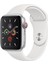 Apple Watch Series 7 (45MM) Se-6-5-4 (44MM) 3-2-1 (42MM) Silikon Kordon Kayış 1