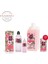 Japon Kiraz Çiçeği Kolonyalı Mendil, Kolonya 1 Litre, 400 ml ve 150 ml 1
