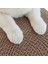 Cat Nest Giyim Dirençli Oluklu Kedi Kırılma Tahtası Kedi Oyuncak Tüneli (Yurt Dışından) 3