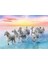 37289 Trefl Galloping White Horses / 500 Parça Puzzle 2