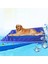 Yaz Köpek Pad Yatak Evi Pet Soğuk Ped Çıkarılabilir Köpek Mat Yastığı Büyük Boyut: 73*46*4 cm (Yurt Dışından) 2