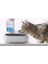 Benepaw Yavru Kedi Kase Gıda Su 2 In1 Ayrılabilir Anti Dökülme Kaynaklar Baz Küçük Köpek Besleyici Yavru Su Yerçekimi Dağıtıcı 1.5l | Kedi Besleme ve sulama Malzemeleri 3