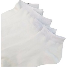 Sockshion Pamuklu Bilek Boy Patik Çorap 5 Çift
