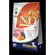 N-D Pumpkin Tahılsız Bal Kabaklı Kuzu Etli Yaban Mersinli Küçük Irk Yavru Köpek Maması 2.5 kg