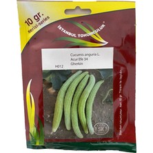 Istanbul Tohumculuk Acur Efe 34 10 gr