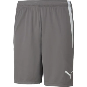Teamliga Shorts Erkek Futbol Şortu 70492413 Gri