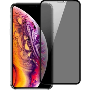 iPhone Xs Max Hayalet Ekran Koruyucu Tam Kaplayan Gizli Privacy