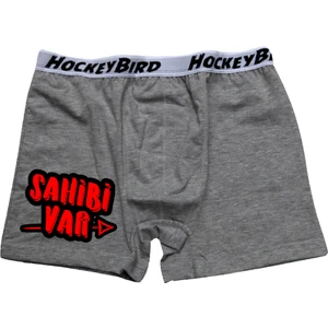 Sahibi Var Gri Boxer