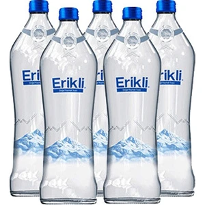 Cam Şişe 0.33 ml 12'li Paket Su