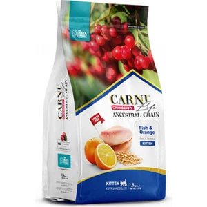 Maya Family Yavru Kedi Maması - Carni Life Cranberry Ancestral Graın Fısh & Orange Kıtten