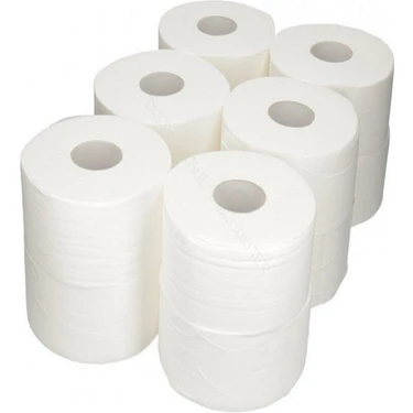 Arı Mini Jumbo Wc Tuvalet Kağıdı 12LI 4