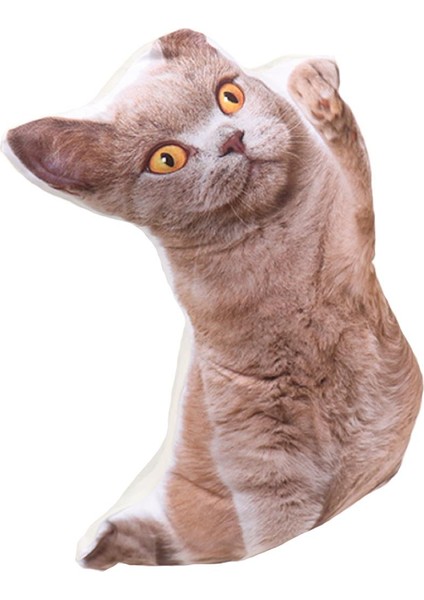 Kahve Gözlü Kahve Kedi Peluş Yastık