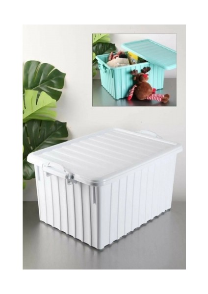 Poly Time Çok Amaçlı Renkli Sandık 40 Lt E641