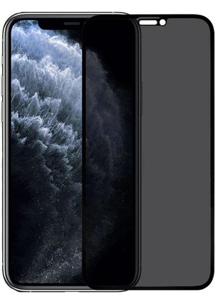 iPhone 11 Pro Hayalet Ekran Koruyucu Tam Kaplayan Gizli Privacy