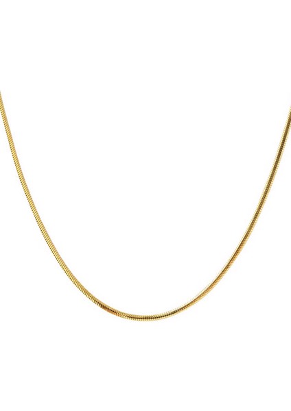 45 Cm. 14 Ayar Altın Balıksırtı Zincir fırsatları