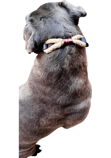 Balkonda Köpek boyun tasması hakiki deri vizon halat genişlik:2,5cm kalınlık:4mm boyun ölçüsü:24-32cm ayarlamalı dog collar T5-3XS modelleri