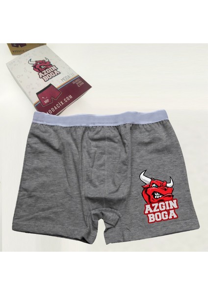 Azgın Boğa Gri Boxer