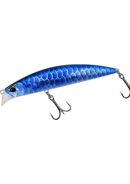 Beach Walker Axcion 95S AKA9999 Blue Arowana