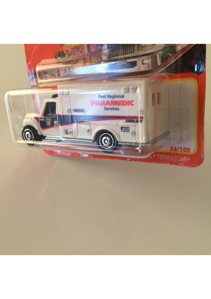 International Terrastar fırsatları