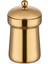- Mono Baharatlık - Gold Titanyum 1
