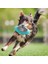 Yavaş Gıda Besleyici Topu Yavru Iq Eğitim Oyuncak Uçan Daire Köpek Oyunu Uçan Diskler Oyuncaklar Kedi Çiğnemek Sızdıran Anti Choke Bulmaca Köpekler | Köpek Oyuncakları (Yurt Dışından) 4