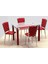 Kapitoneli Cam Mutfak Masa Takımı (Deri) - Kırmızı 1