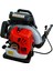 EB985 Benzinli Üfleme Makinası 5 Hp 1