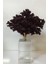 Kristal Bordo Mercan 2