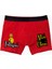 Tuttuğun Altın Kırmızı Boxer 1