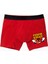 Fındıkkıran Kırmızı Boxer 1
