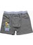 Pinokyo Gri Boxer 1