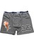 Dondurmam Kaymak Gri Boxer 1
