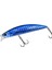 Beach Walker Axcion 95S AKA9999 Blue Arowana 1
