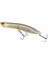 Realis Pencil Popper 110 CCC3176 Morning Dawn 1