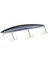 Tide Minnow Lance 120S SNA0842 Real Anchovy 1