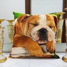 Körfez Kırlent Animal Köpek Baskılı Kırlent Kılıfı 43X43CM