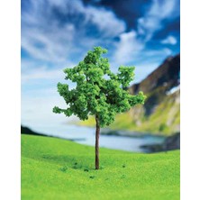 Tahtakalehobi Karaağaç 11 cm 1 Adet