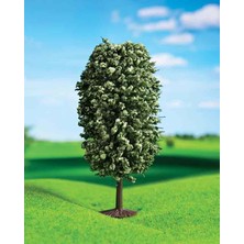 Tahtakalehobi Yeşil Dağ Çamı 10 cm 2 Adet