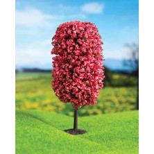 Tahtakalehobi Kırmızı Renkli Dağ Çamı 10 cm 2 Adet