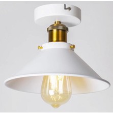 Dylight Retro Metal Dekoratif Rustik Tavan Beyaz Tekli Avize Çap 30 cm