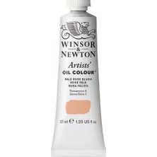 Winsor & Newton : Artists' Yağlı Boya : 37 ml : Flesh Tint 257 S.2
