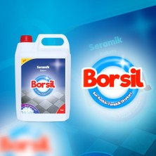 Borsil Seramik Bakımı 1 L