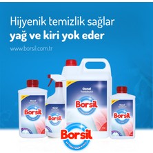 Borsil Genel Temizleyici 500 ml