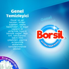 Borsil Genel Temizleyici 500 ml