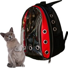 Viselia Kedi Taşıma Çantası Kırılmaz Astronot Orta Boy Uçak Için Uygun Hava Alan Sırt Çantası