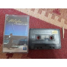 Bozmüzik Nilüfer Esmer Günler Cam Baskı