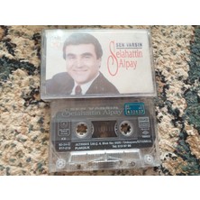 Bozmüzik Selahattin Alpay Sen Varsın Cam Baskı