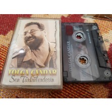 Bozmüzik Tolga Çandar Sen Türkülerdesin Cam Baskı