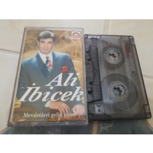 Bozmüzik Ali Ibicek Mevsimleri Gelin Ettim Cam Baskı